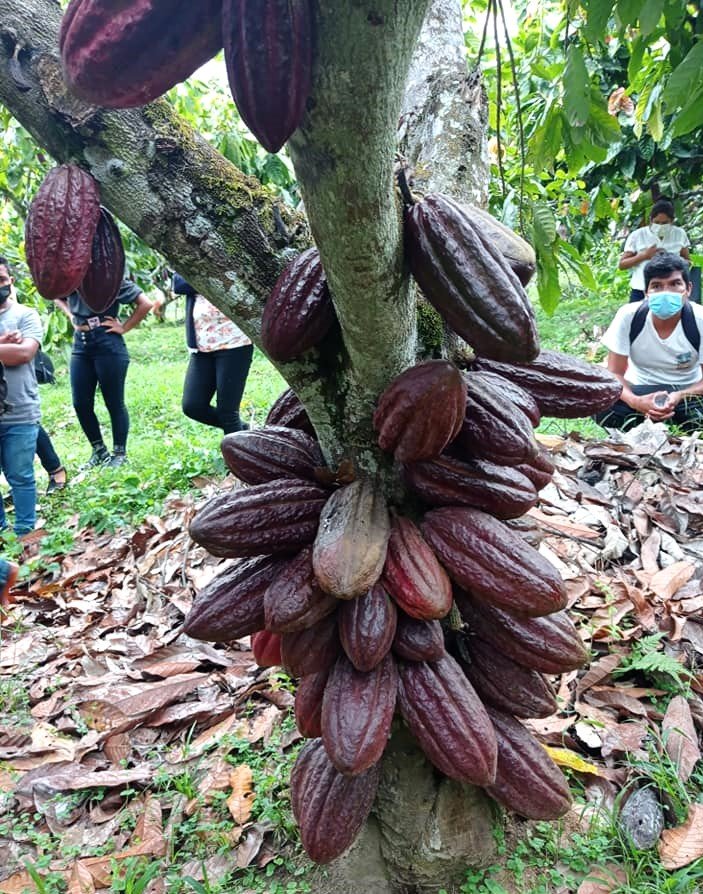 171232200 121093310049266 4221943000589106940 n